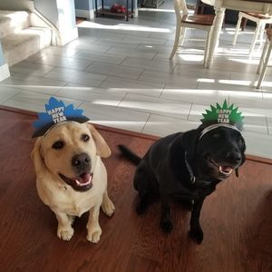 Meet your Posher, Lizza